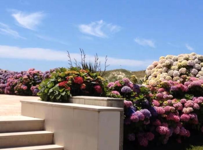 Mindelo apart with ocean view 2 rooms