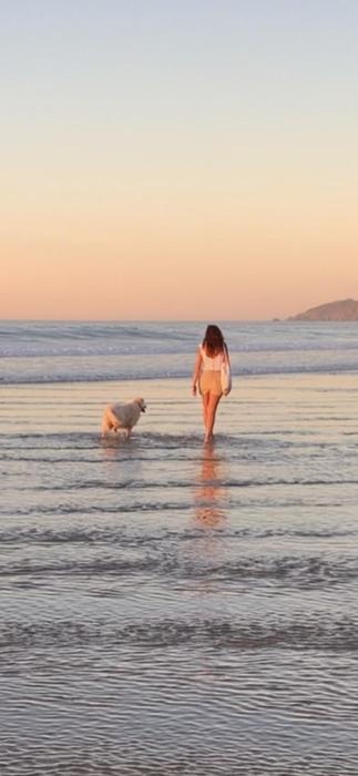 Welooveyou Blue Collection