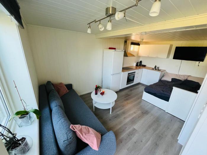 Liten,koselig studieleilighet i rolige omgivelser