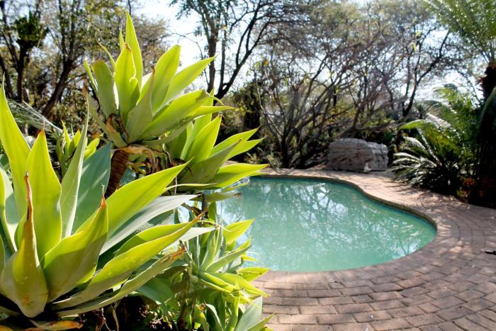 Ndlovu 41 inside the Dinokeng Big 5 Game Reserve