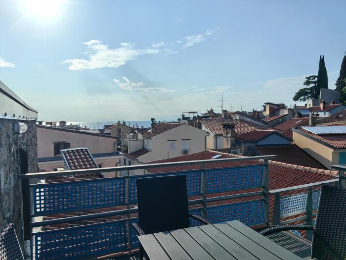 Rosa di Pirano con Terrazza