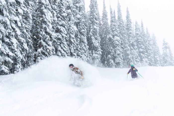 Christiania Condominiums- CoralTree Residence Collection