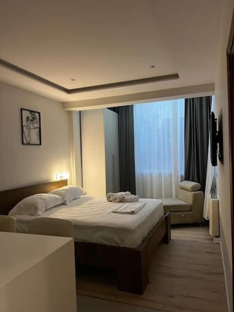 Sol Heart of Tirana Blloku studio