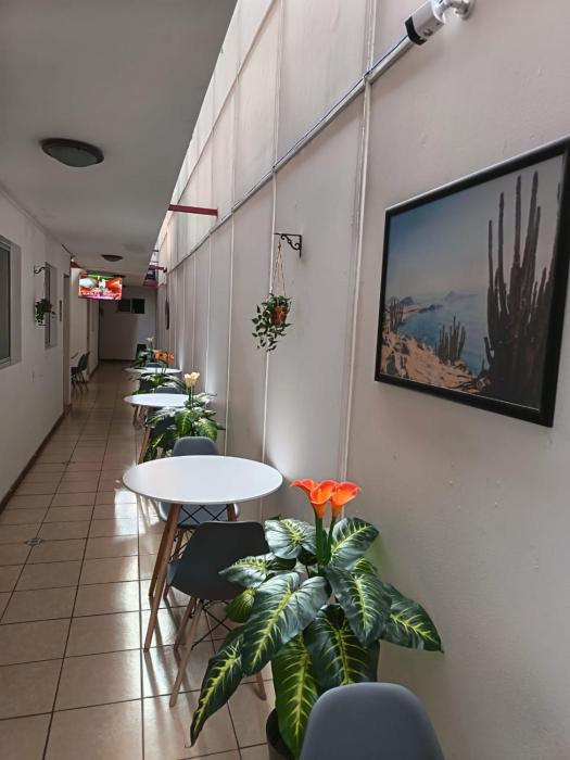 Lodge Atacama Hostal