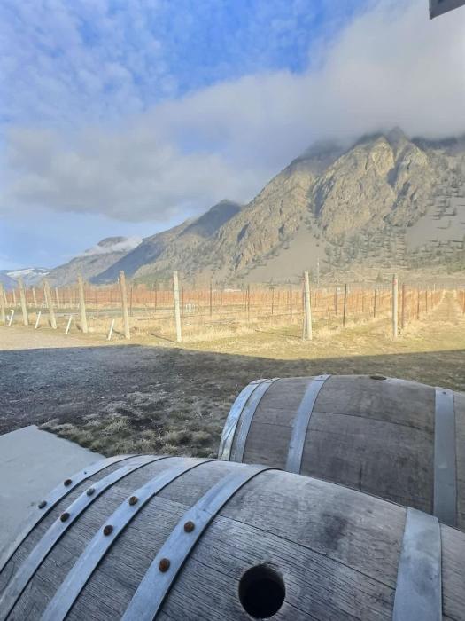 Spacious Getaway Two Homes on a Tranquil Vineyard Ideal for Large Groups