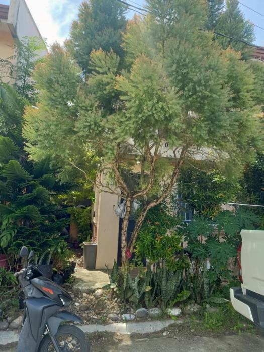 Camella Davao-Airport Hub