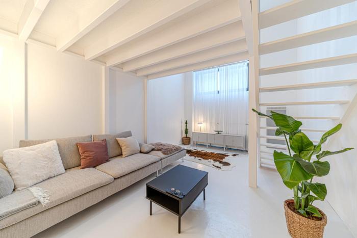 Atypical apartment with mezzanines Lyon 3 near Saxe-Gambetta