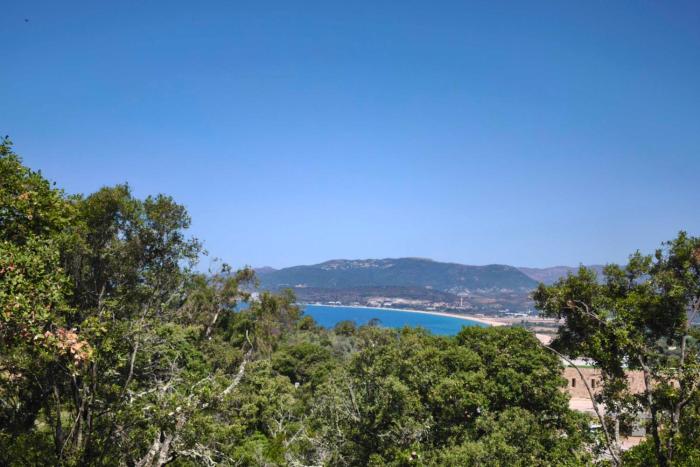Family house with garden near the sea