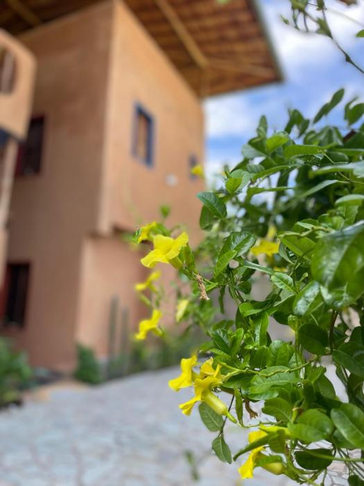 Casa Valhalla Choroni