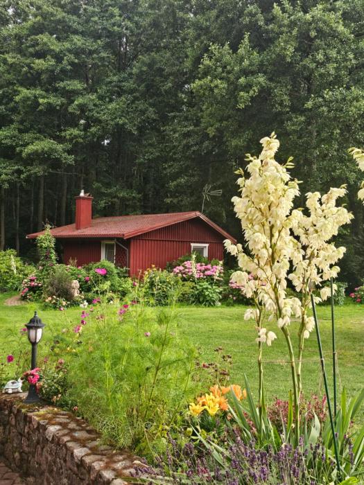 Namelis nr 1 Adelės sodyba