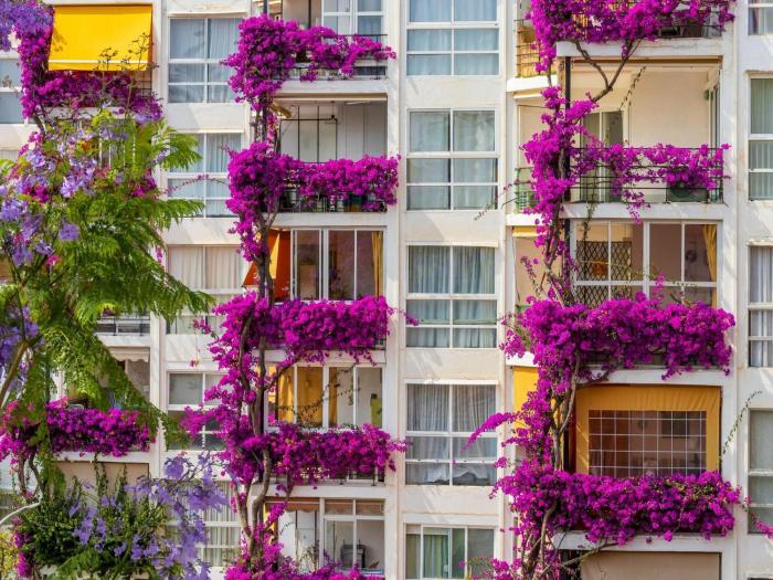 Apartment with Terrace near the Sea