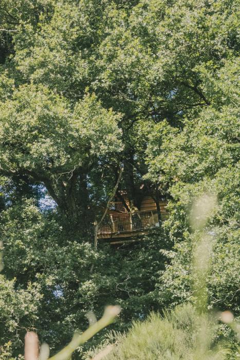 La Cabanoun, cabane perchée vue lac