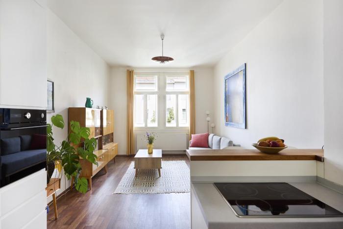 Mamas apartment in Letna