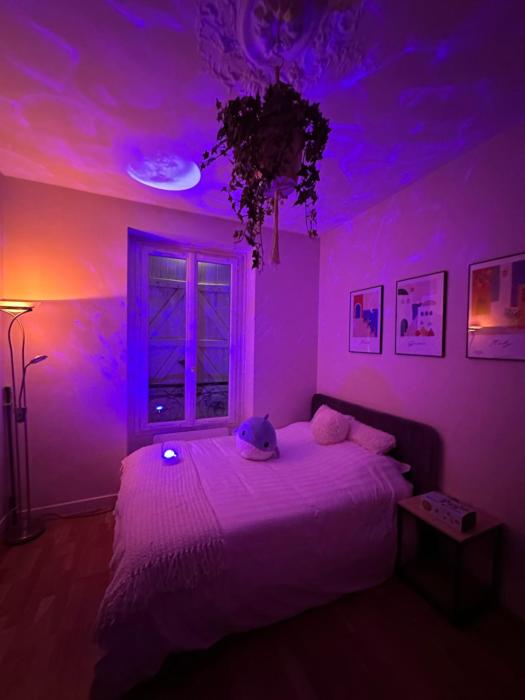 Cosy Appart Hotel Levallois-Perret 92