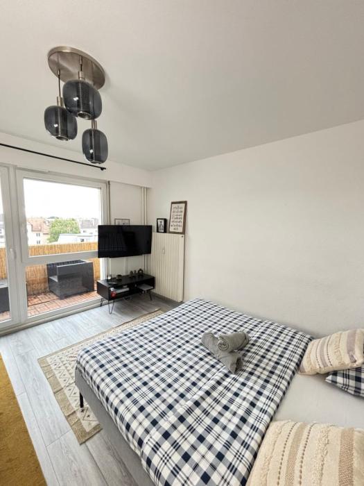 Soh Rent Appartement cozy Strasbourg Wifi Terrasse St Aloise