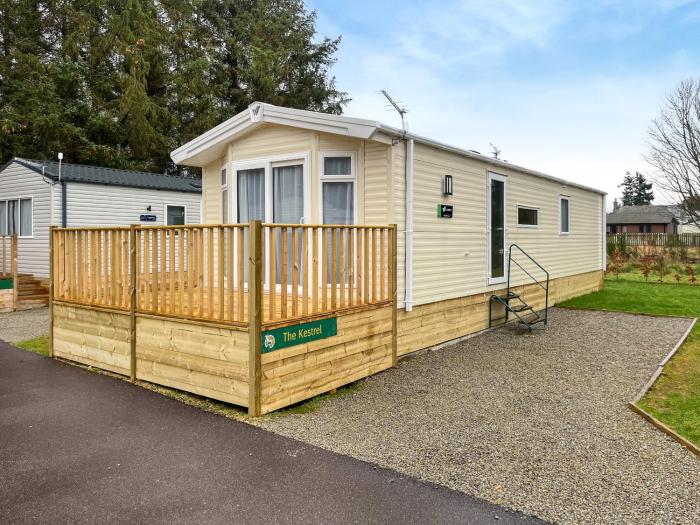 The Kestrel - Ukc6920