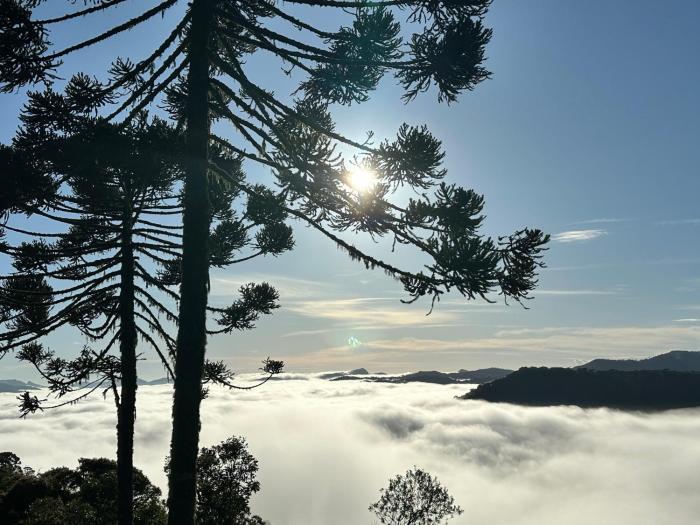 Cabanas e Chalés De luxo Black BIRD Morro da Igreja com Banheira de hidromassagem