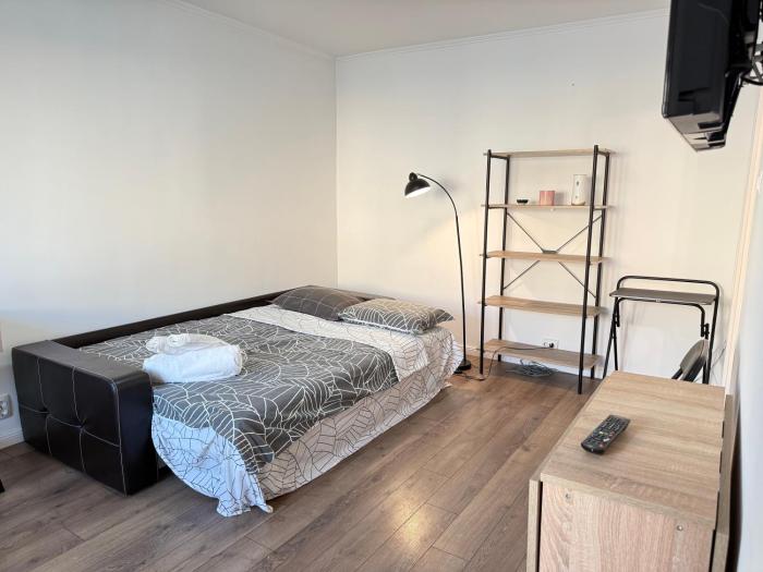 1 Neat Room Apartment ,35sqm, Zorilor Area