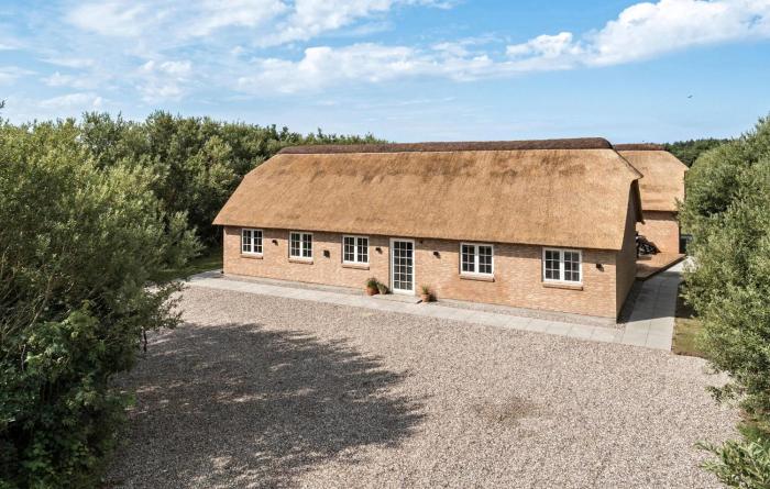 Lovely Home In Ulfborg With Sauna - C04646