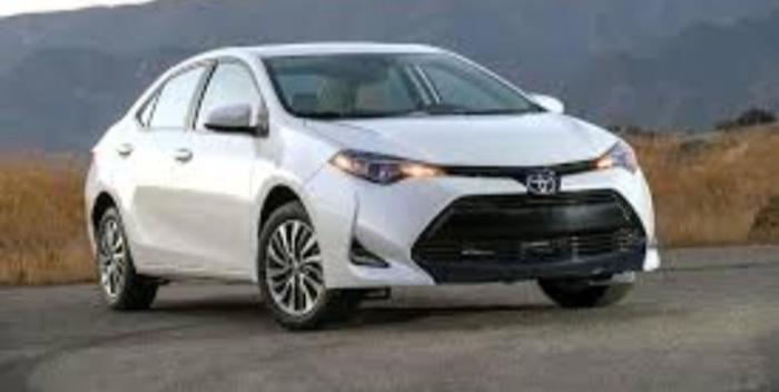 Servicio de transporte catracho504