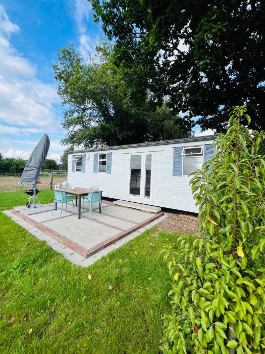 Tiny House auf Pferdehof