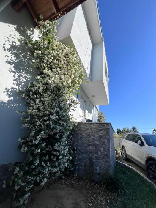 Private Villa with sea View in Saros