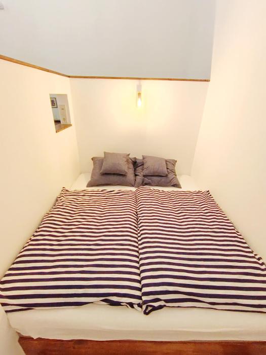 Cozy & Green Downtown Residence