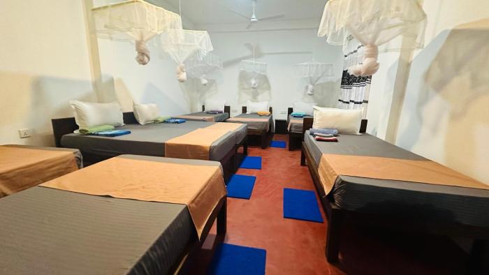 Cashew nut land hostel