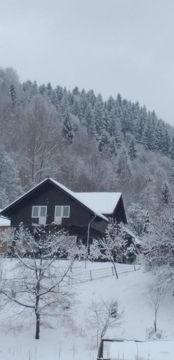 Casa Bunicii Moieciu