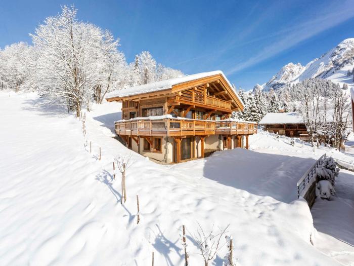Chalet luxueux 5★, 15 pers, à 300 m des pistes, piscine intérieure, sauna, animaux admis - FR-1-304-300