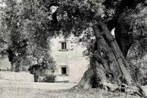 San Virgilio in Puglia - appartamento con giardino