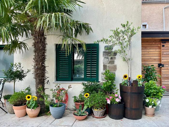 Apartment Rozalka Vipava valley