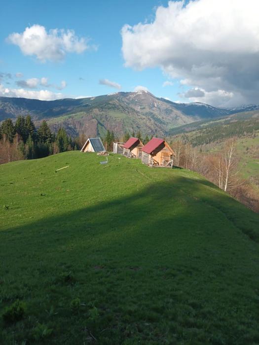Eco katun Kofiljača