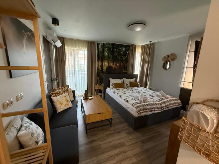 Luxury Studio1 in Hotel Friends SPA