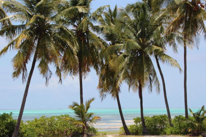 Maa Salama Boutique Resort & Hospitality Training