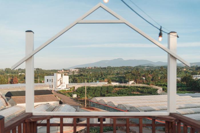 Jeju Palm Spa Pool Villa