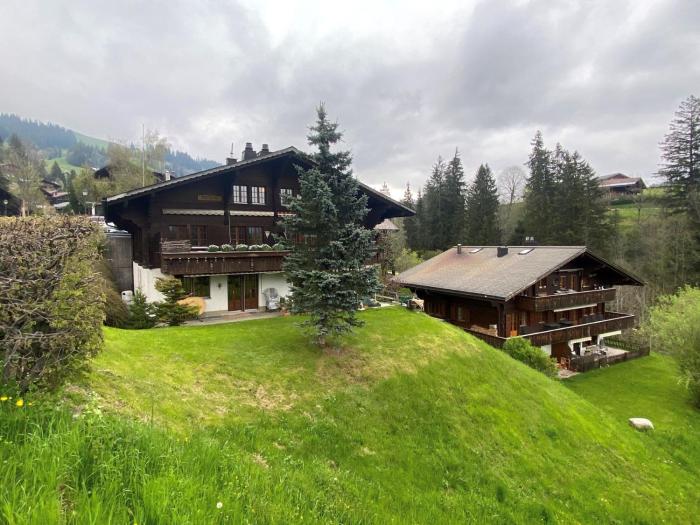 Amazing Villa in Gstaad