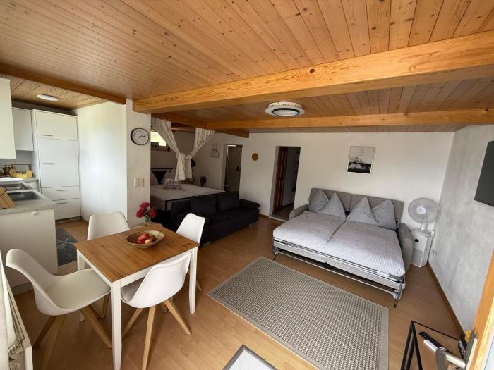 Studio with lake and mountain view