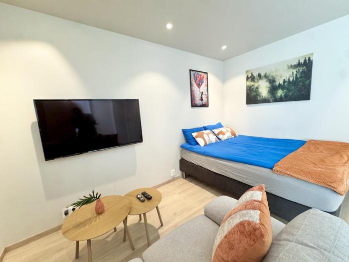 Chic and Modern Studio - Central