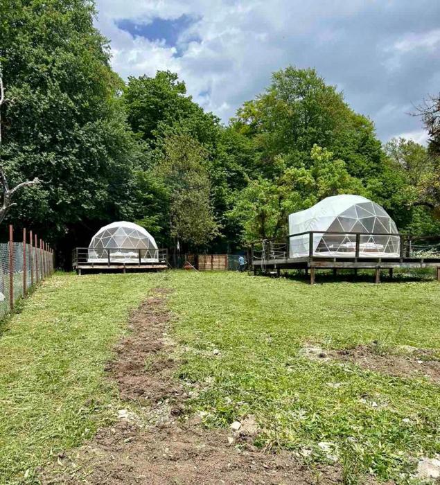 Nikorstminda glamping - Batonis forest