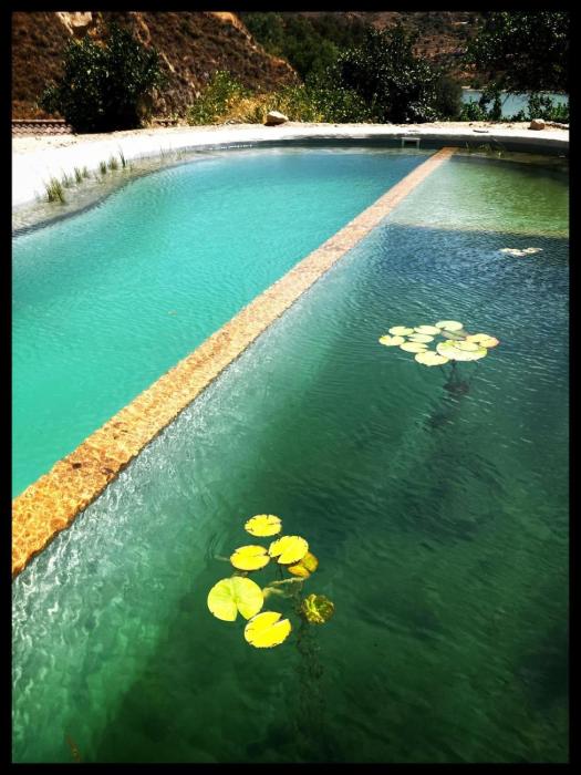 La calma y la caravana