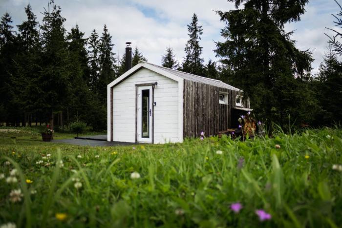 Meža namiņš Upeskrasti