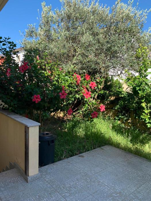 Guest House Zia Maria