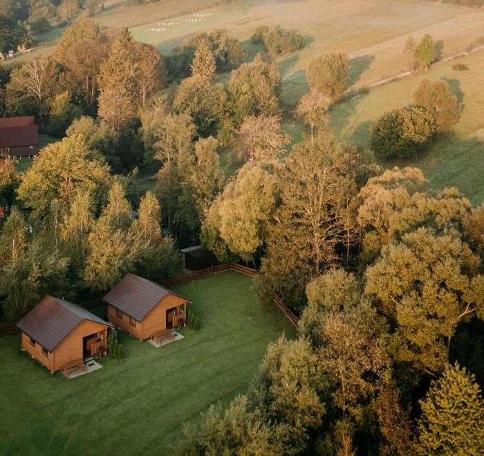 Domki u Sokoła