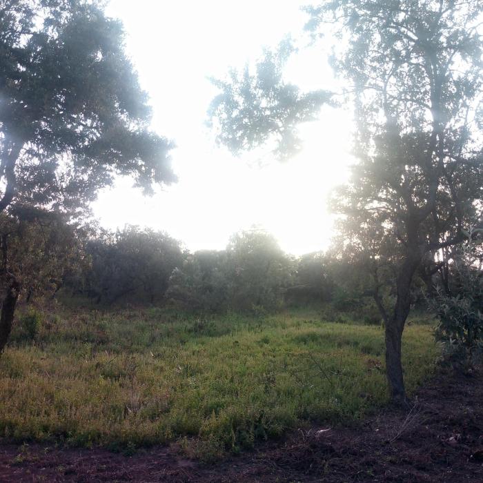 Mastev Campsite Undeveloped