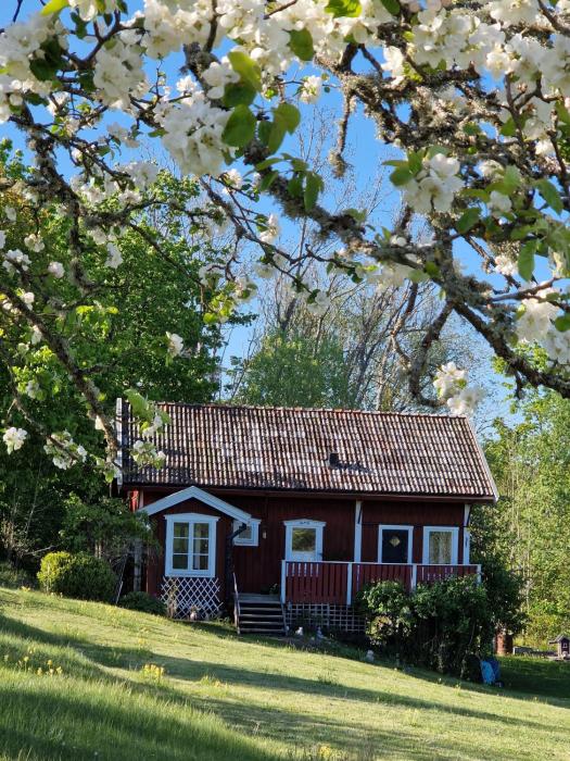 Mysigt boende nära hav och natur