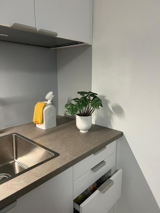 Gemütliches Appartment im Souterrain