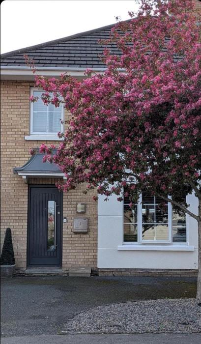 Stylish 5-bedroom retreat just minutes from Belfast city