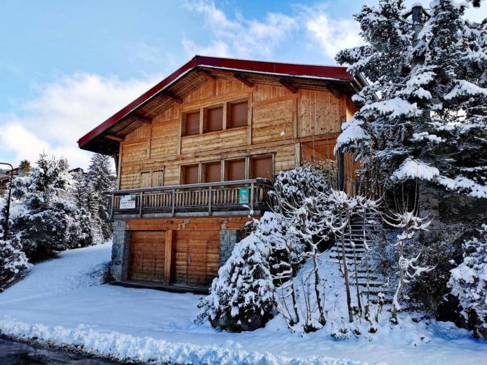 Chalet Lhermine - Confort et authenticité proche des pistes MAE-3391