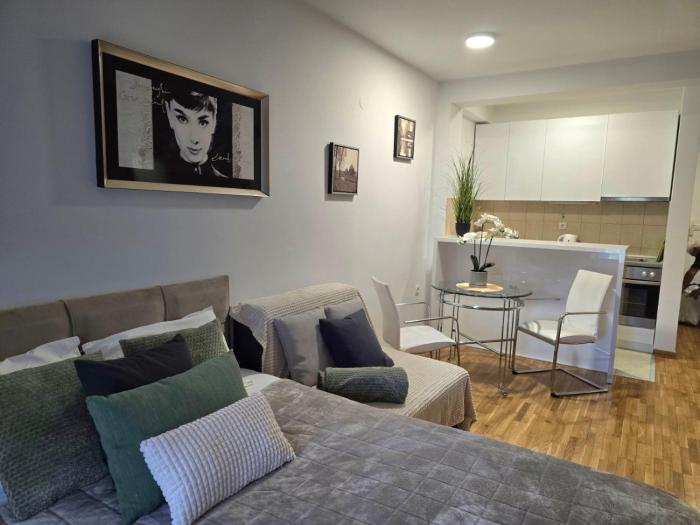 Slavia center apartment